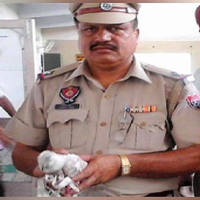 Pigeon Detained in India as Possible Spy