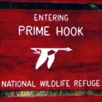 Fish & Wildlife Service Accused of Using U.S. Funds to Help 3 Beachfront Property Owners