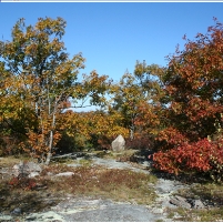 Stream in Maine Threatens to Sue Corporation