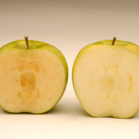 For the First Time, USDA Approves Fruit Genetically Engineered for Aesthetic Reasons