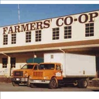 The Hidden Economic Power of Cooperatives