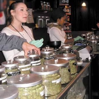 Marijuana Debate Goes Mainstream