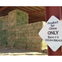 Could California Drought be Ended by Stopping Alfalfa Exports to China?