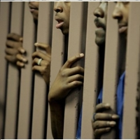29 States Roll Back Mandatory Sentencing