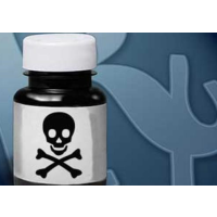 Sharp Increase in Deaths from Heroin and Prescription Painkiller Overdoses