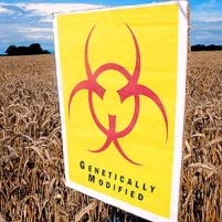 Bush Administration Bullied Europeans over Genetically Modified Crops