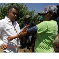 Should U.S. Provide Health Care for Illegal Migrant Farm Workers?