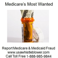 Law Enforcement Budget Cutbacks: Organized Crime and Medicare Fraud