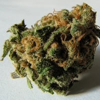 It Only Took Nine Years for Washington to Say "No" to Petition for New Marijuana Classification