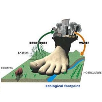 Earthlings Use 50% More Resources a Year than Earth Produces