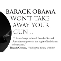 Gun Industry Increases Profits by Spreading Fake Warnings of Obama Anti-Gun Conspiracy