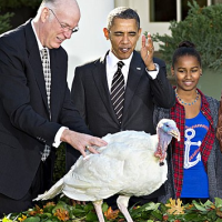 Unforgiving: Obama Grants Fewer Pardons than Previous Presidents
