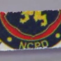 Classified Police Documents End Up as Thanksgiving Parade Confetti
