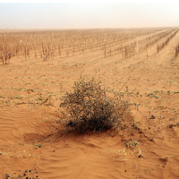 Floods and Drought? NOAA Says Get Used to It