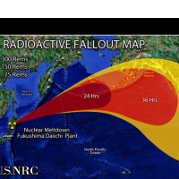 Study Suggests Fukushima Disaster Caused Thyroid Abnormalities in U.S. Babies