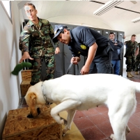 Lawsuit Challenges Effectiveness of Drug- and Bomb-Sniffing Police Dogs