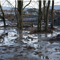 Judge Tries to Force EPA to Regulate Coal Ash