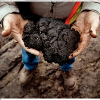 Oil Companies Kick the (Aluminum) Can Down the Road Toward Toxic Oil Sands