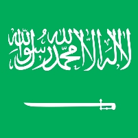 Saudi Arabia Bans USA License Plate, Allows Marriage of 8-Year-Old