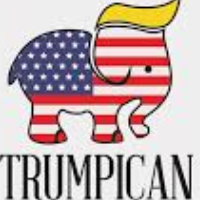 Trump Changes Name of Republican Party