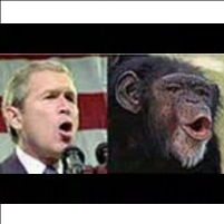 More Americans Want Bush Investigated Than Believe in Evolution