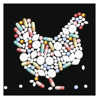 Major U.S. Poultry Producer Embraces Use of Antibiotics despite Potential Health Threat