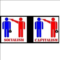 A Spoonful of Socialism Helps Capitalism: Robert S. McElvaine