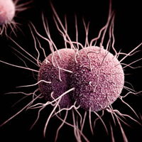 White House Kicks Off Expanded Research Into Microbes