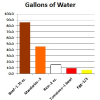 Average American Uses 40 Gallons of California Water a Day