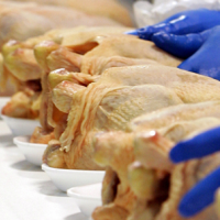 97% of All Chicken Breasts in U.S. Found to Contain Harmful Bacteria