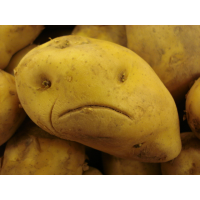 In 100 Years, Potato and Bread Prices Have Skyrocketed; Eggs not so Bad