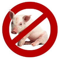 CDC Warns of New Swine Flu Virus Hitting Children Who Pet Animals at County Fairs