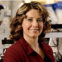 Under Secretary of Agriculture for Food Safety: Who Is Mindy Brashears?