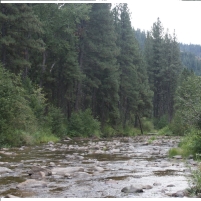 Environmentalists Fight Forest Service over Molybdenum Mining in Idaho