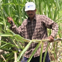 Thousands Die of Mystery Illness; Work-Related Dehydration Suspected
