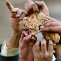 Are Food Shortages Around the World being Caused by Investors’ Speculation?