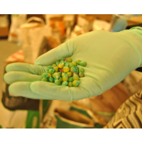 Is Chinese Theft of U.S. Corn Seeds a National Security Issue or just another Example of Sleazy Business?