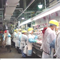 Pork Plant Workers Win Union Contract after 17-Year Fight