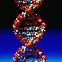 Europe OKs First Commercial Gene Therapy: Patient Cost is $1.6 Million