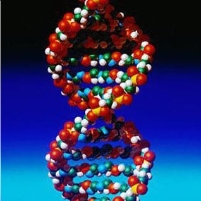 Prosecutors Fighting the Use of DNA Evidence in Order to Save Face