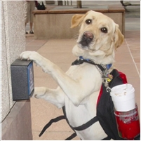 Al Franken’s First Bill: Providing Dogs for Wounded Vets