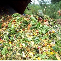 Wasted Food Uses 25% of Freshwater Supply and 300 Million Barrels of Oil a Year