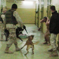What Do We Know about the Torture Photos Obama Refuses to Release?