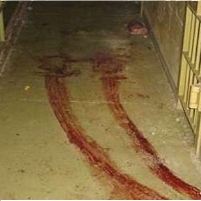 Obama Promises Lieberman and Graham to Block Torture Photos