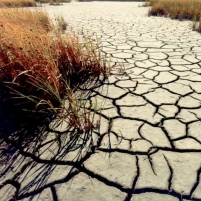 Every U.S. State Now Hit by Drought Conditions