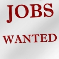 Financial Professionals Don’t Expect Significant Rehiring Until 2011…At Best