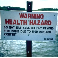 Obama Reverses Bush Policy on Mercury Pollution