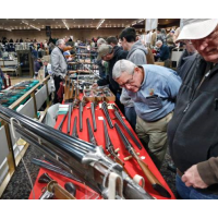 Increased Media Coverage of Gun Attacks Leads to Record-Breaking Summer Gun Sales
