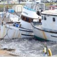 Tsunami Sinks Dozens of Boats…in California