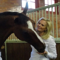 Romney Tax Deduction for Care and Feeding of Horse More than Average U.S. Household Income